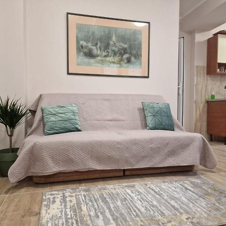 Laroka House Beautiful Apartment Universitate Center Bukarest Kültér fotó